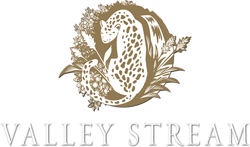 Valley Stream Retreat